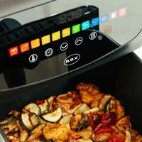 RGV PROMO Fry Type 6 Air Window image 4